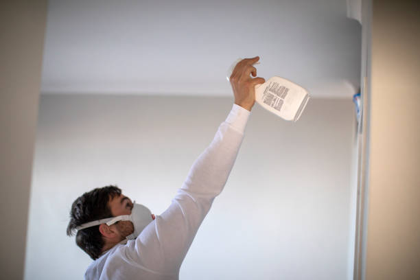 Water Damage Restoration in Lake San Marcos, CA